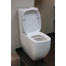 Унитаз напольный LAUFEN PALOMBA COLLECTION выпуск VARIO c LLC 8.2480.6.400.000.1